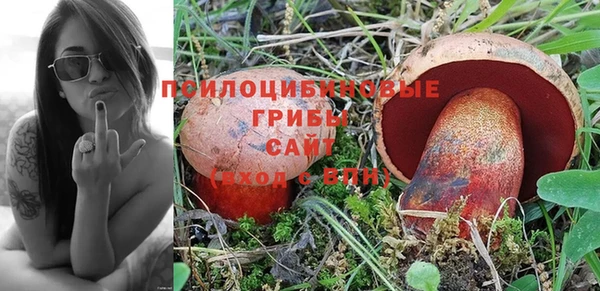 MESCALINE Арсеньев
