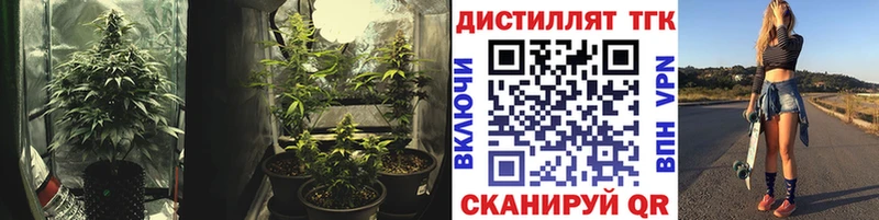 ТГК THC oil  где найти   Нижняя Тура 