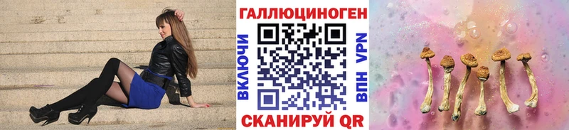 Галлюциногенные грибы Psilocybe  Нижняя Тура 